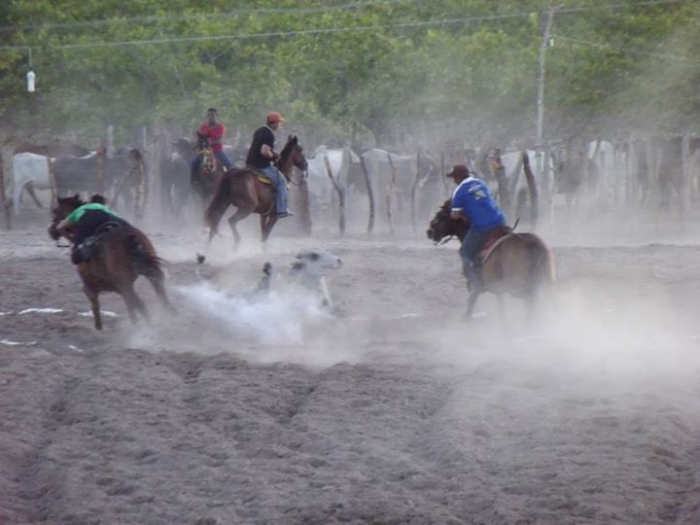 É o Boi, o Cavalo e o Vaqueiro. Derruba do Boi na Vaquejada do Parque Benecarmo - Imagem 18