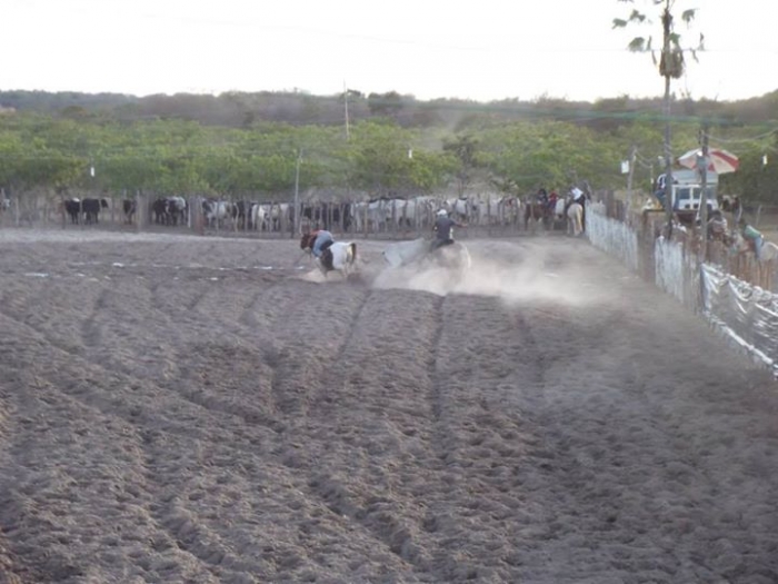 É o Boi, o Cavalo e o Vaqueiro. Derruba do Boi na Vaquejada do Parque Benecarmo - Imagem 50