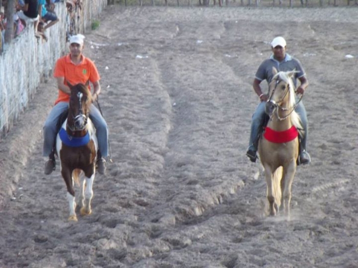 É o Boi, o Cavalo e o Vaqueiro. Derruba do Boi na Vaquejada do Parque Benecarmo - Imagem 43