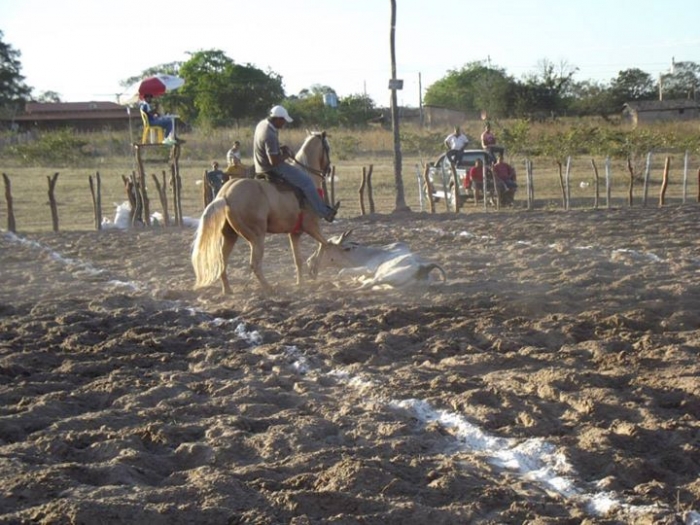 É o Boi, o Cavalo e o Vaqueiro. Derruba do Boi na Vaquejada do Parque Benecarmo - Imagem 65
