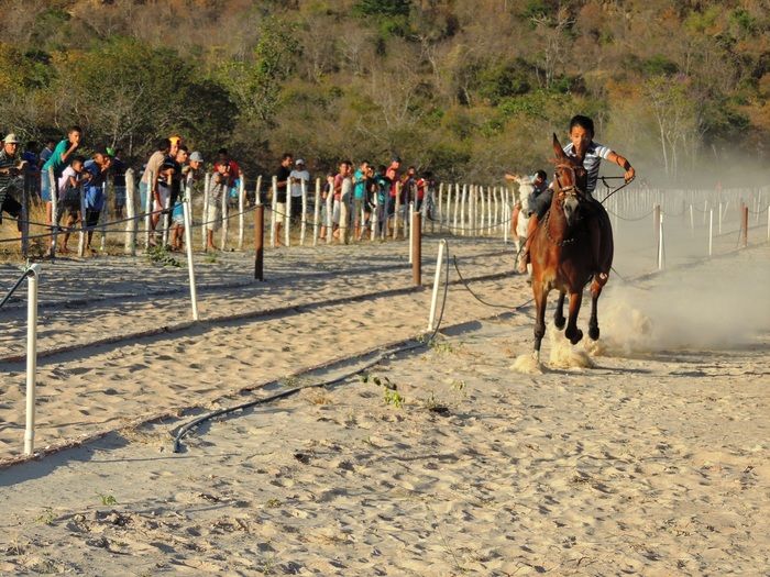 Inaugurações e início de obras marcam aniversário de Pedro II - Imagem 26