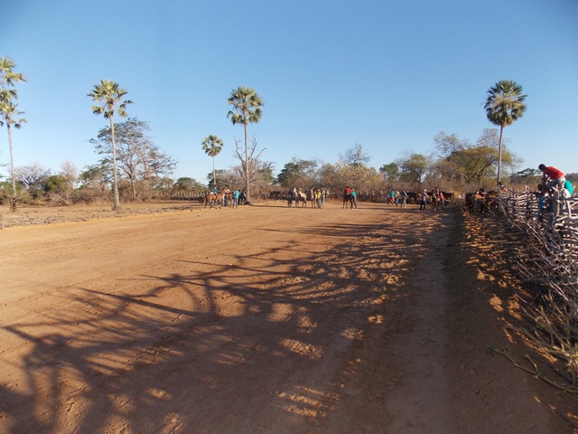Prefeito Dr. Francisco participa da tradicional festa dos vaqueiros da localidade Jacaré - Imagem 3
