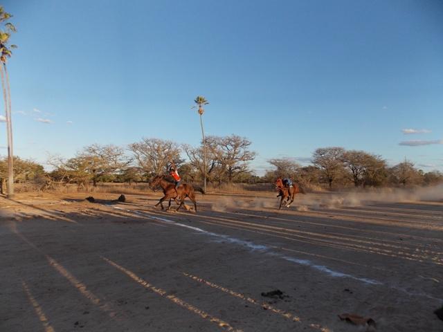 Prefeito Dr. Francisco participa da tradicional festa dos vaqueiros da localidade Jacaré - Imagem 1