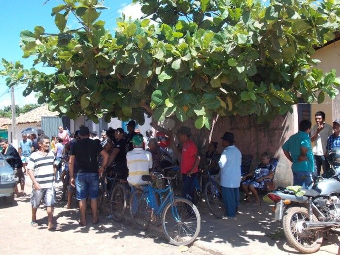 Resultado da eleição do Sindicato dos Trabalhadores Rurais de Capitão de Campos - Imagem 20