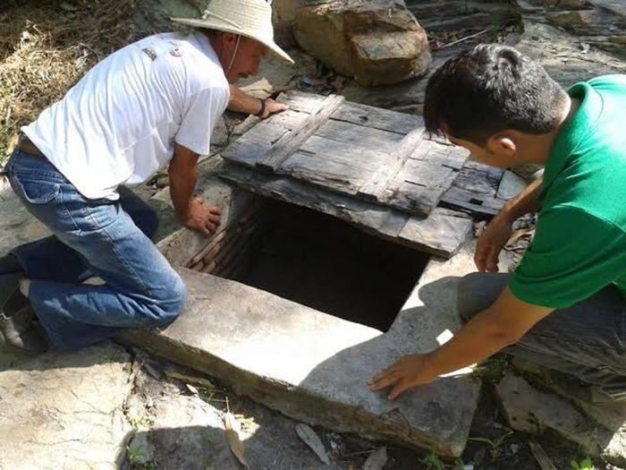 SEMAPE desenvolve ações de preservação ambiental na zona rural - Imagem 3