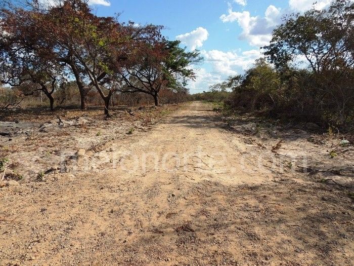 Loteamento Jardim Violante oportunidade de morar bem - Imagem 4