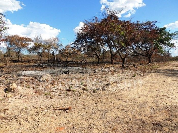 Loteamento Jardim Violante oportunidade de morar bem - Imagem 9