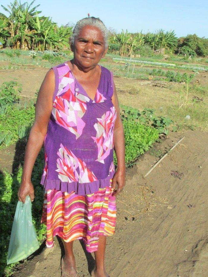 Horta Comunitária uma Renda Extra para 30 Famílias em Agricolândia - Imagem 28