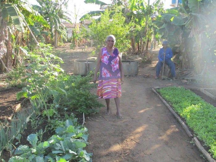 Horta Comunitária uma Renda Extra para 30 Famílias em Agricolândia - Imagem 26