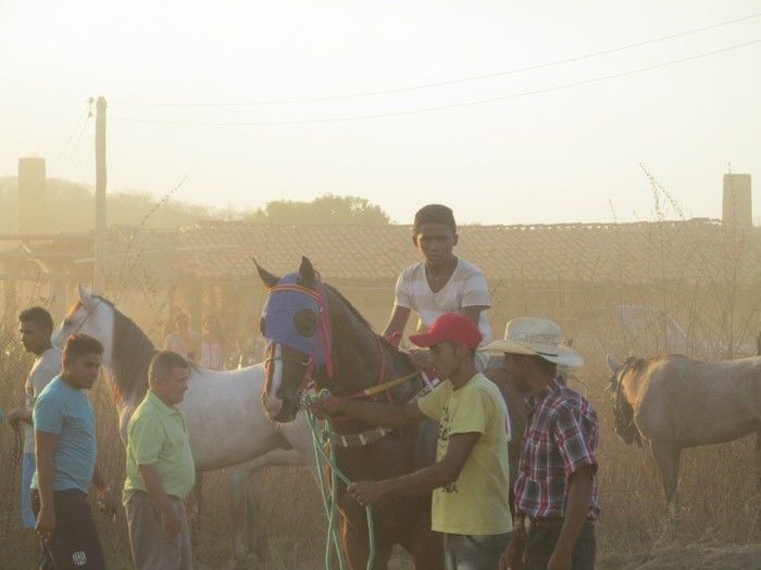 Prefeito: Joel de Lima Faz Grande Corrida de Cavalo em Miguel Leão - Imagem 11