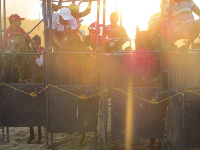 Prefeito: Joel de Lima Faz Grande Corrida de Cavalo em Miguel Leão - Imagem 3