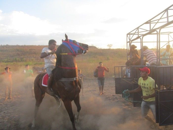 Prefeito: Joel de Lima Faz Grande Corrida de Cavalo em Miguel Leão - Imagem 9