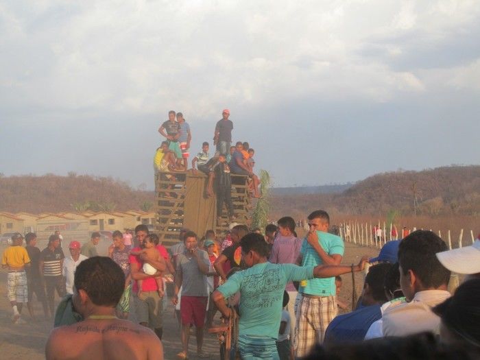 Prefeito: Joel de Lima Faz Grande Corrida de Cavalo em Miguel Leão - Imagem 12