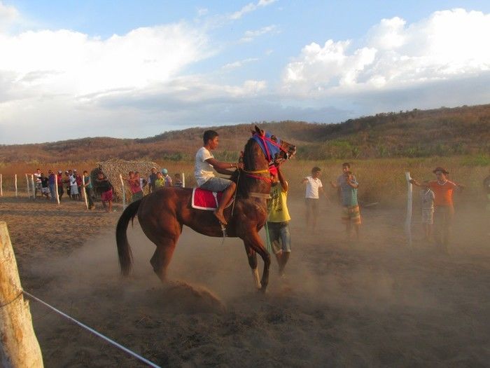 Prefeito: Joel de Lima Faz Grande Corrida de Cavalo em Miguel Leão - Imagem 8