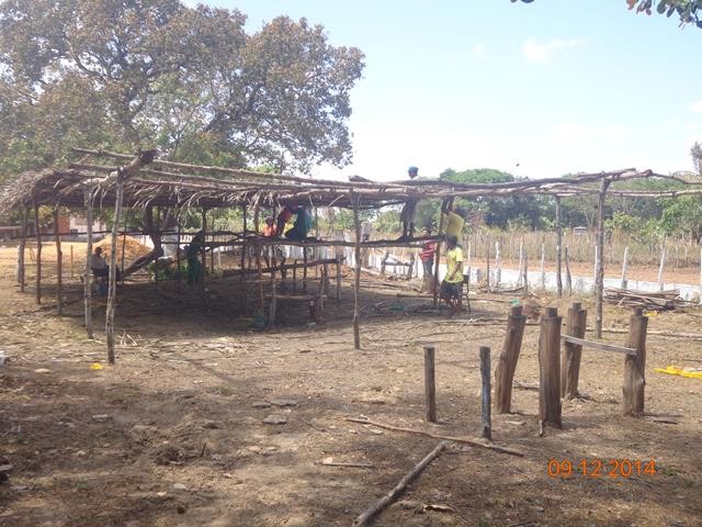 Últimos preparativos para o início da Festa do Bode de Batalha - Imagem 8