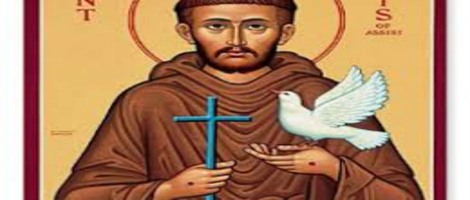 Festejo de São Francisco 2014