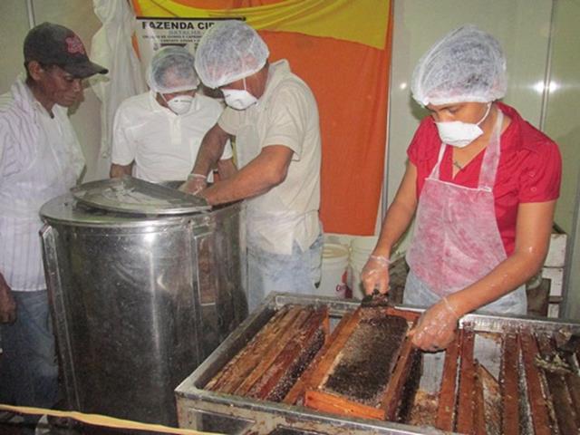 Festa do Bode de Batalha 2014 consolidada como a maior de todas as edições já realizadas‏ - Imagem 66