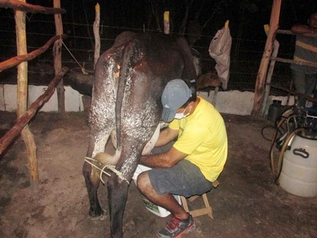 Festa do Bode de Batalha 2014 consolidada como a maior de todas as edições já realizadas‏ - Imagem 3