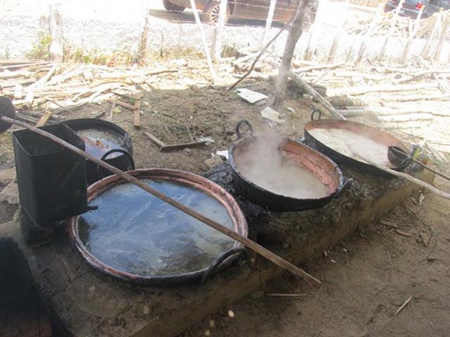 Festa do Bode de Batalha 2014 consolidada como a maior de todas as edições já realizadas‏ - Imagem 52