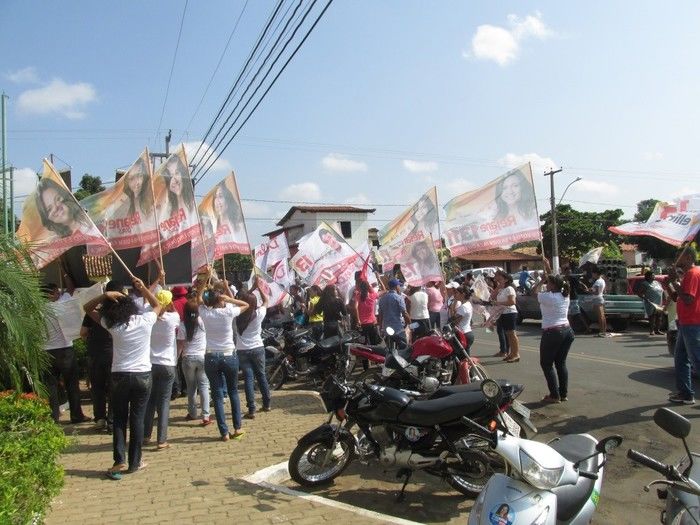 Candidato a Governador: Wellington Dias Faz Caminhada em Agricolândia  - Imagem 54