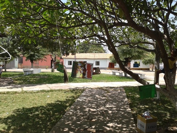 3ª Edição do projeto:  “Um poema em cada árvore“ - Imagem 30