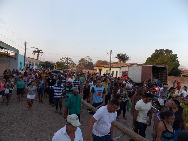 Levantamento do mastro marca o início do festejo de São Francisco de Assis - Imagem 18