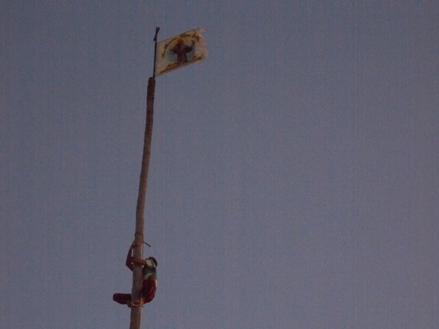 Levantamento do mastro marca o início do festejo de São Francisco de Assis - Imagem 52