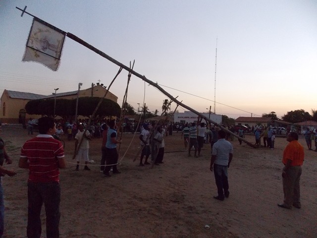 Levantamento do mastro marca o início do festejo de São Francisco de Assis - Imagem 37