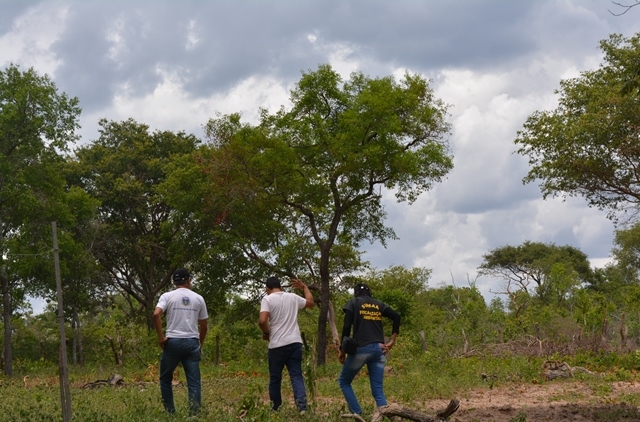 Superintendência de Meio Ambiente de Corrente vistoria área a ser desmatada - Imagem 1