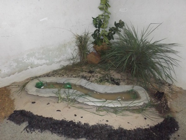 Explanação do final da jornada pedagógica 2014 e início dos trabalhos em 2015 - Imagem 109