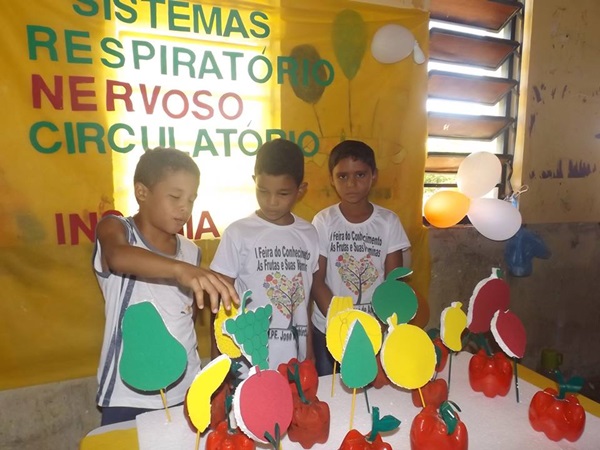 Explanação do final da jornada pedagógica 2014 e início dos trabalhos em 2015 - Imagem 82