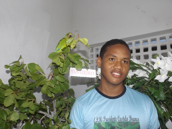 Explanação do final da jornada pedagógica 2014 e início dos trabalhos em 2015 - Imagem 115