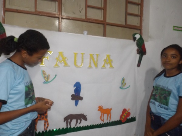 Explanação do final da jornada pedagógica 2014 e início dos trabalhos em 2015 - Imagem 119