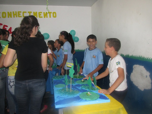 Explanação do final da jornada pedagógica 2014 e início dos trabalhos em 2015 - Imagem 133