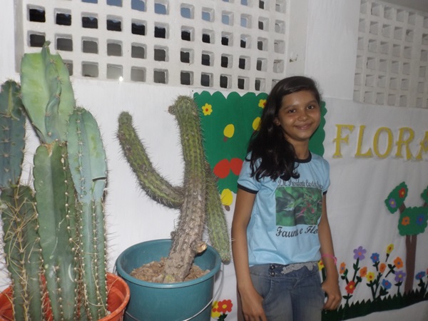 Explanação do final da jornada pedagógica 2014 e início dos trabalhos em 2015 - Imagem 114