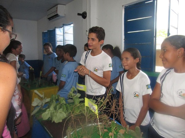 Explanação do final da jornada pedagógica 2014 e início dos trabalhos em 2015 - Imagem 12