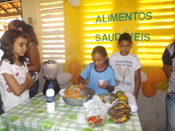 Explanação do final da jornada pedagógica 2014 e início dos trabalhos em 2015 - Imagem 67