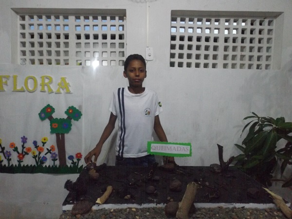 Explanação do final da jornada pedagógica 2014 e início dos trabalhos em 2015 - Imagem 113