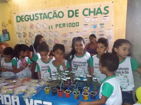 Explanação do final da jornada pedagógica 2014 e início dos trabalhos em 2015 - Imagem 77