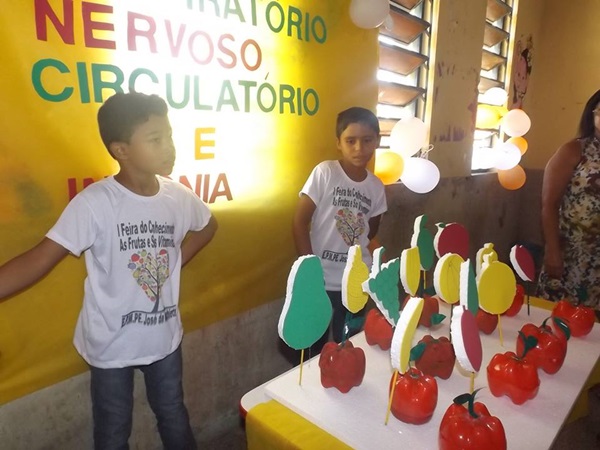 Explanação do final da jornada pedagógica 2014 e início dos trabalhos em 2015 - Imagem 55