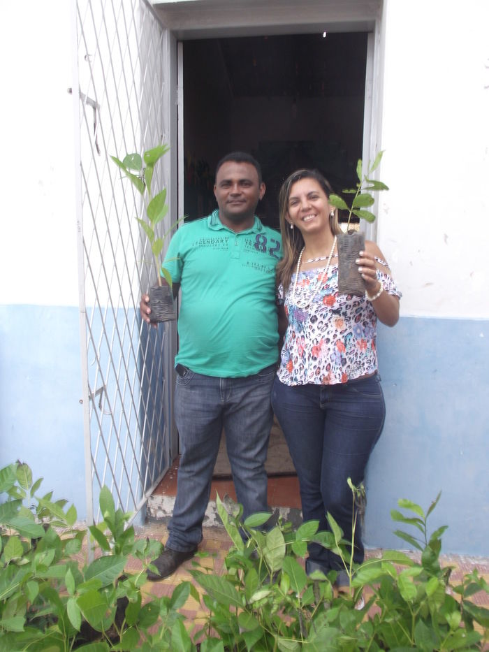 Prefeitura de Miguel Alves doa 600 mudas para arborização do município - Imagem 3