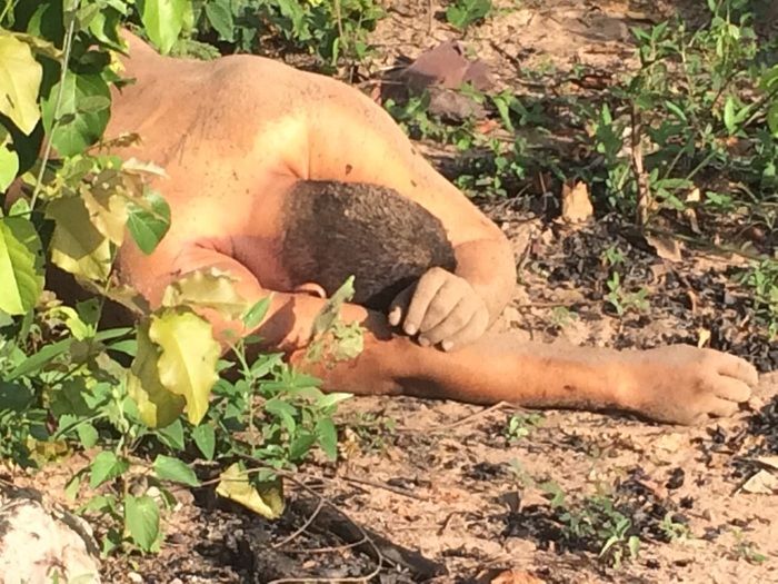 Assaltante de Olho D´Agua é Morto em troca de tiro por policiais na cidade de Barro Duro - Imagem 1