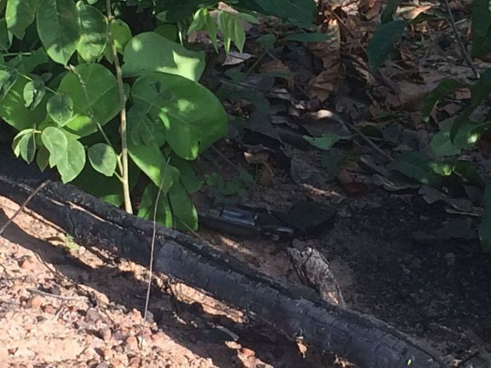 Assaltante de Olho D´Agua é Morto em troca de tiro por policiais na cidade de Barro Duro - Imagem 5
