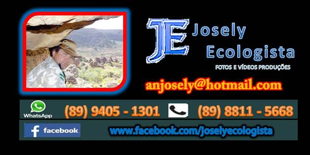 Atriz e Modelo Piauiense é Destaque no Carnaval de Montevidéu no Uruguai - Imagem 31