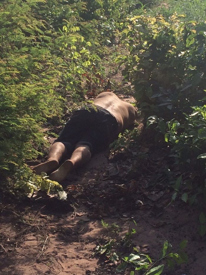 Homem tenta assaltar carro de policial e é morto a tiros no Piauí - Imagem 2