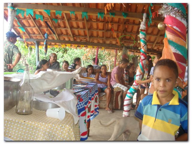 Inaugurado “Museu do Boi” no Cortado - Imagem 6