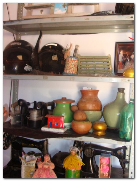 Inaugurado “Museu do Boi” no Cortado - Imagem 4