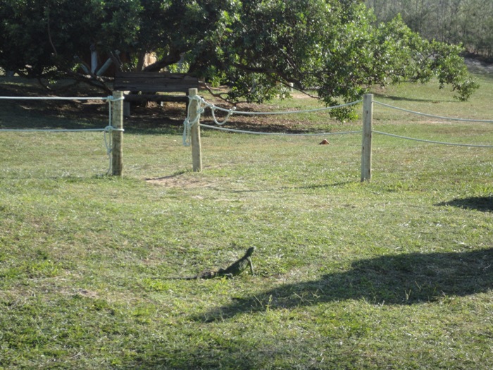 Blogueiro e família passam o final de ano no litoral piauiense - Imagem 9