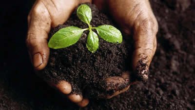 Vice-Prefeito Elvis Ramos Parabeniza Os Engenheiros Agrônomos - Imagem 1