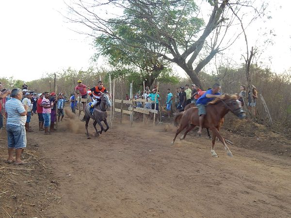 Corrida de Cavalos movimentou o Festejo de Estaca Zero - Imagem 9